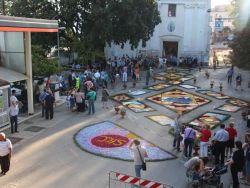 LAPILLI Infiorata Ogliara
