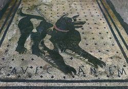 LAPILLI Cave canem mosaico