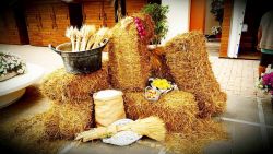 LAPILLI fashionfood3