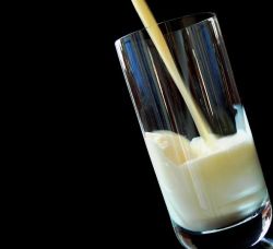 Foto latte 250