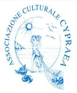 cypraea