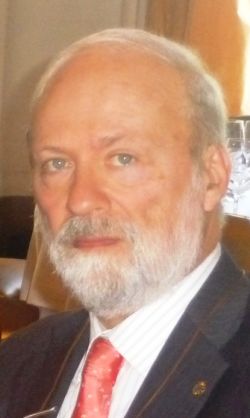 LAPILLI Bruno Crevato Selvaggi