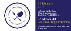 LAPILLI concorso enogastronomico 20161