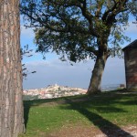Ristorante La Collina