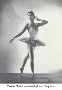 LAPILLI Violetta Elvin