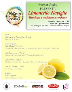 LAPILLI Locandina