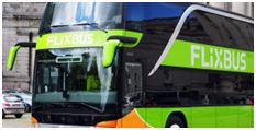 LAPILLI Bus