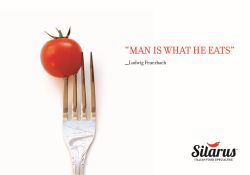 LAPILLI silarus italianfoodspecialties
