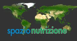 LAPILLI spazionutrizione7 3 1