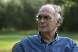 LAPILLI Francesco Gurrieri