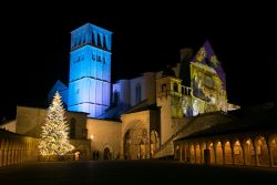 Basilica San Francesco Natale 250