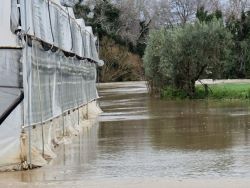 campo agricolo fiume sele 250