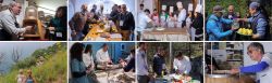 ContadiniPescatori C9 250