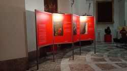 Allestimento mostra 250