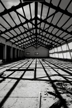 Cristillo mostra 2024 250