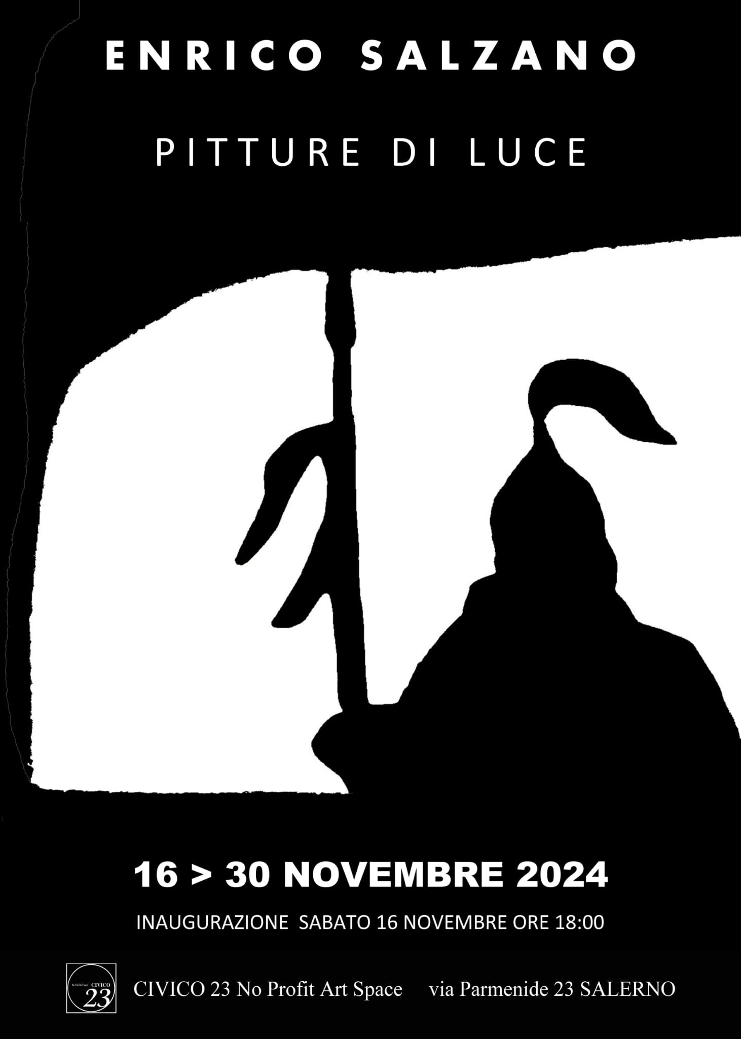 locandina salzano