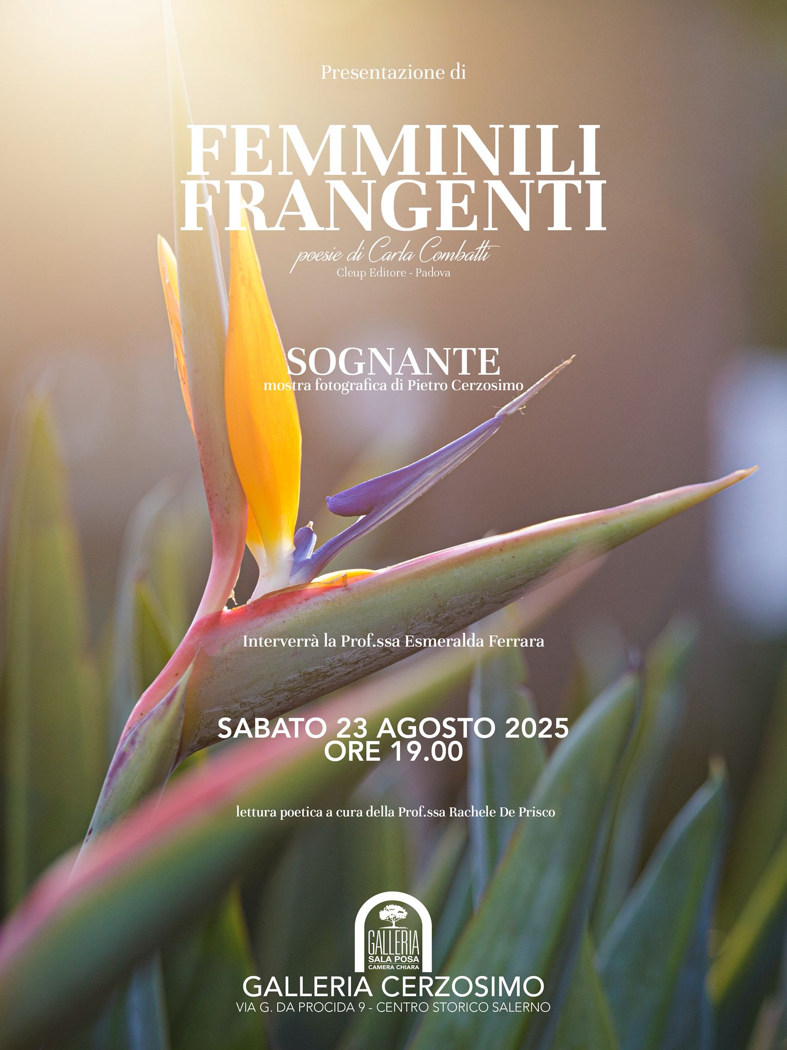 femminili frangenti