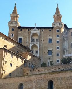 Palazzo ducale di Urbino 250