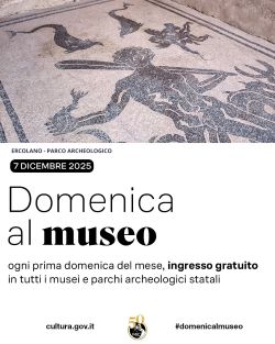 grafica dommuseo 250