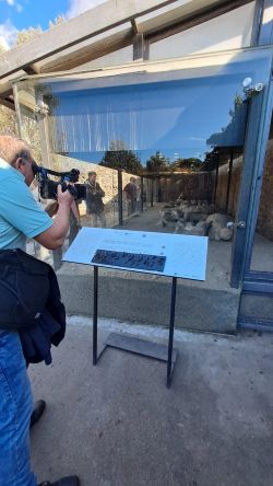 supporto in lingua Braille 250