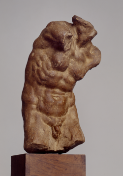 casa buonarroti torso virile inv 250