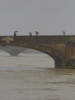 Franco Cammarata Ponte Santa Trinita 6 dicembre 2020 jpeg copia 250