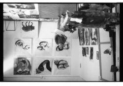 1997 Bobo studio via toscanella Museo Riz à Porta 1997 1 250
