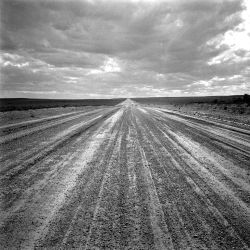 Davis image003 250