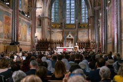 festa san francesco 2024 250