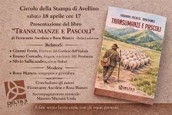 Avellino Libro 250