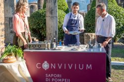 Convivium 250