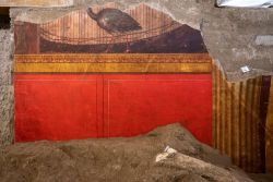 Scavi ad Oplontis Pavone 250