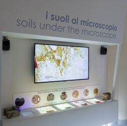 Museo del Suolo 1 250