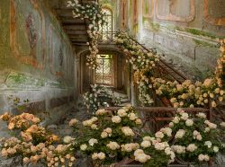 1 Aldo Salucci The golden stairs 110 X 148 250