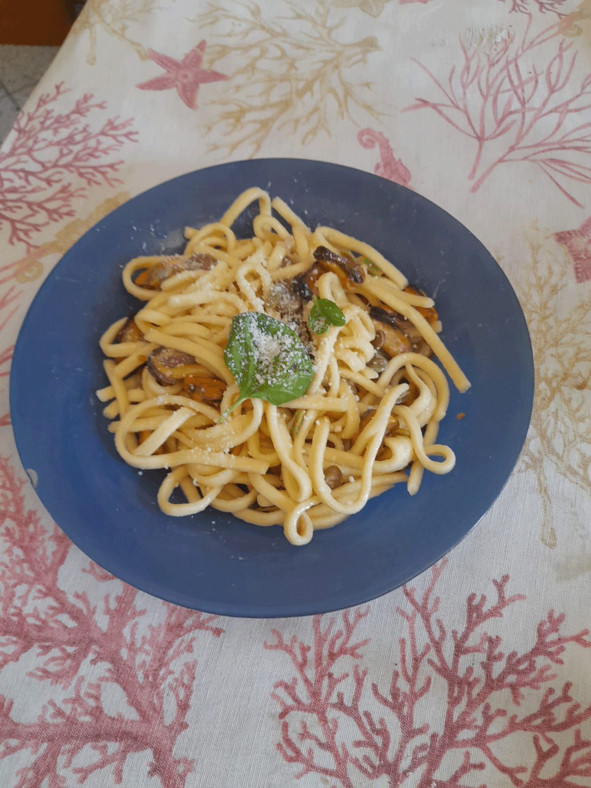Scialatielli cozze e fave