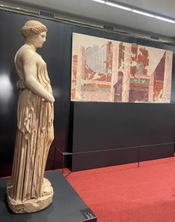 allestimento antiquarium 250