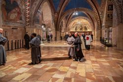 Assisi Conclusione 250 