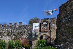 Fiori nella Rocca 250