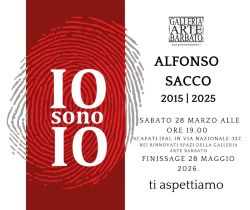 Locandina Finssage 250