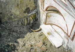 Pompei Abb. 3 250
