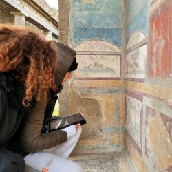 Pompei Monitoraggio con APP 1 250