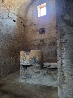 Terme del Foro Sezione Femminile 1 250